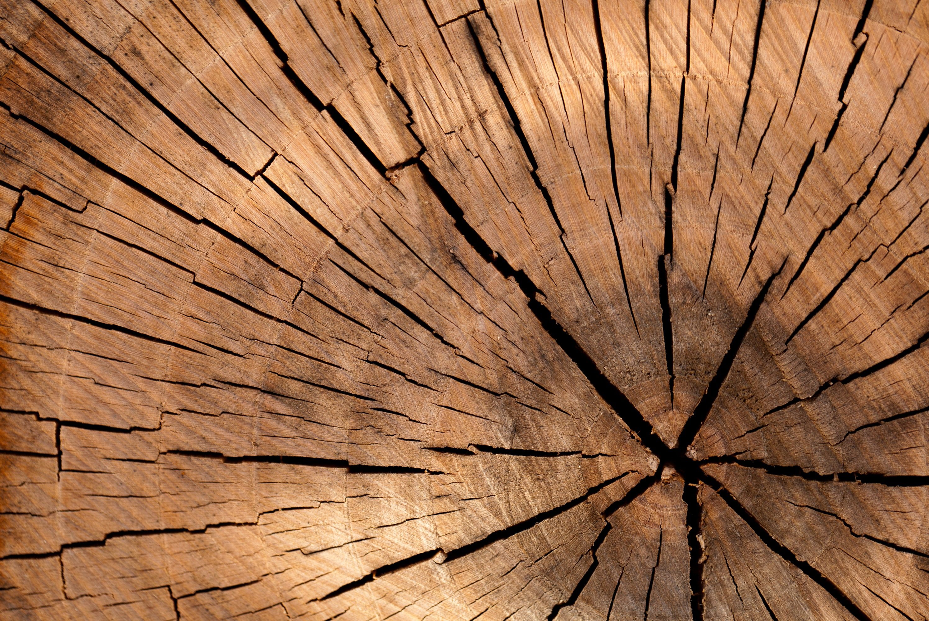 McGuinness Woodworking